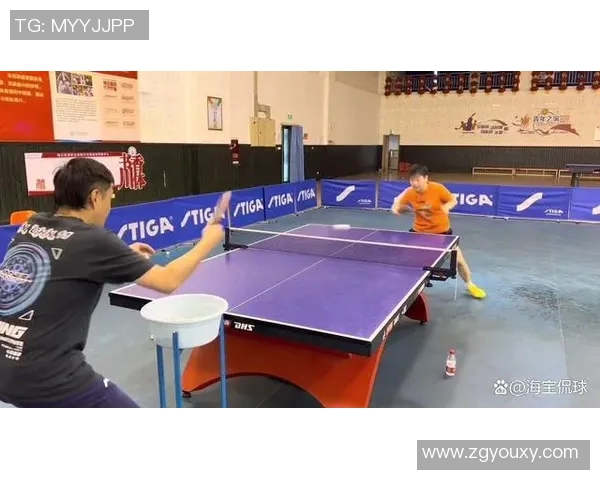 武汉乒乓球队比赛经验引发热议球迷对战术选择和训练方法展开激烈讨论 武汉乒乓球队比赛经验引发热议球迷对战术选择和训练方法展开激烈讨论