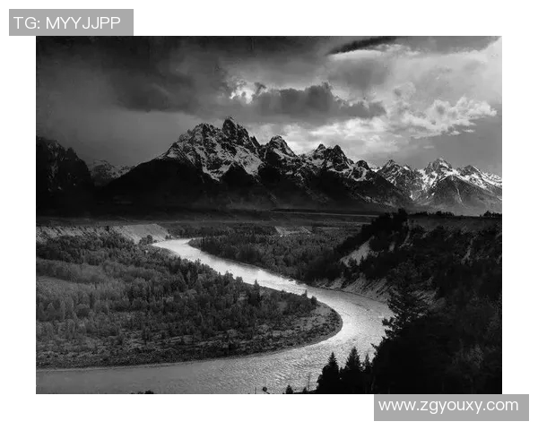 亚当斯的传奇人生与影响力探讨：从科学到文化的跨界之旅