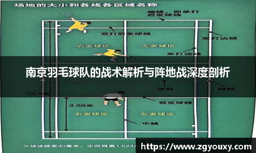 南京羽毛球队的战术解析与阵地战深度剖析