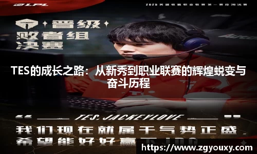 TES的成长之路：从新秀到职业联赛的辉煌蜕变与奋斗历程