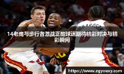 14老鹰与步行者激战正酣球迷期待精彩对决与精彩瞬间