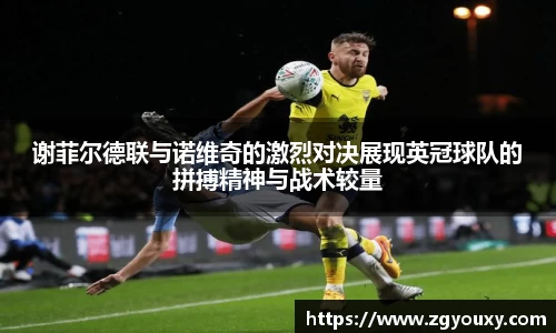 谢菲尔德联与诺维奇的激烈对决展现英冠球队的拼搏精神与战术较量