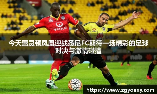 今天惠灵顿凤凰迎战悉尼FC期待一场精彩的足球对决与激情碰撞